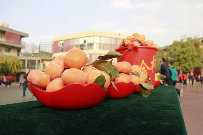 20181023100013__MG_2251.JPG