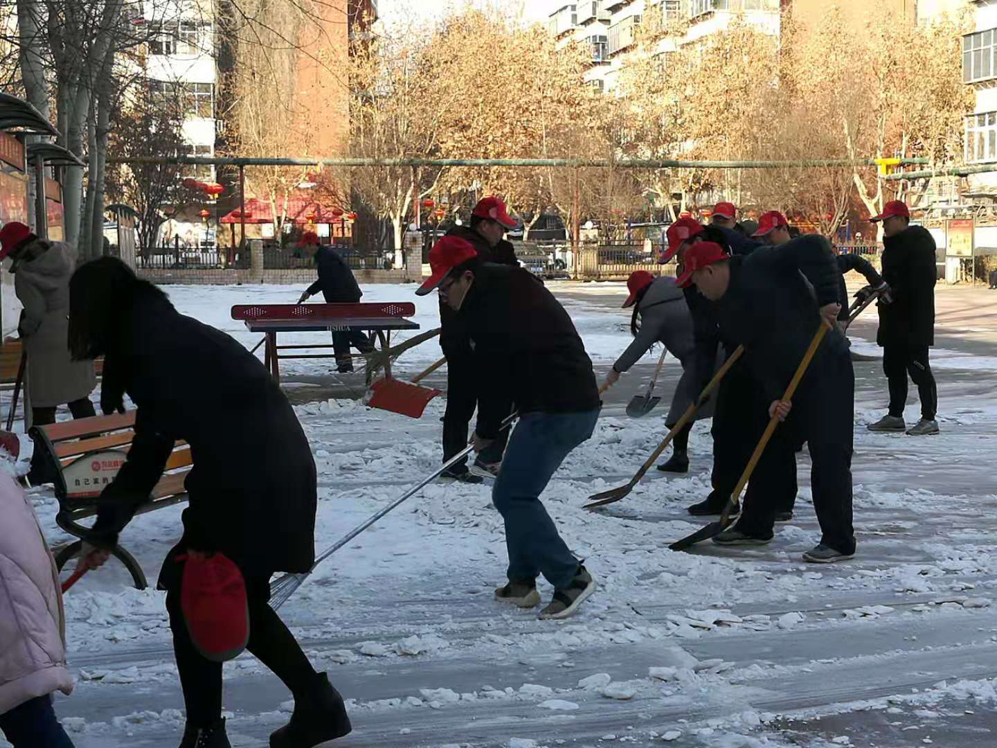 20190218203219_1.jpg 20190218203219_1.jpg