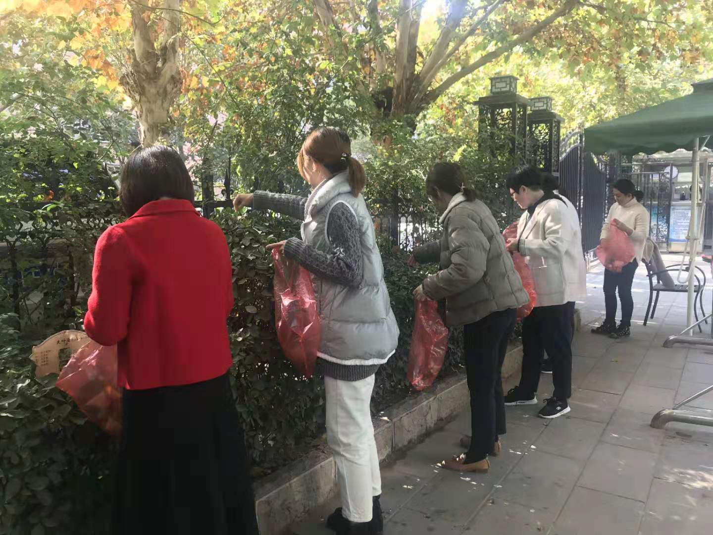 20191121162439_微信图片_20191108154617.jpg 20191121162439_微信图片_20191108154617.jpg