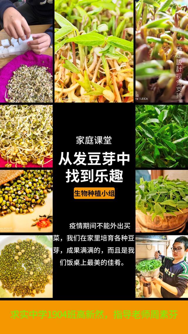 微信图片_20200228210106.jpg 微信图片_20200228210106.jpg