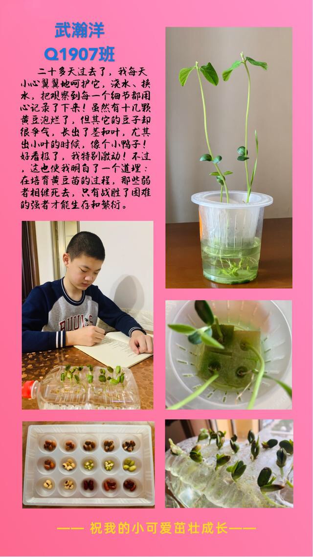 图片0.jpg