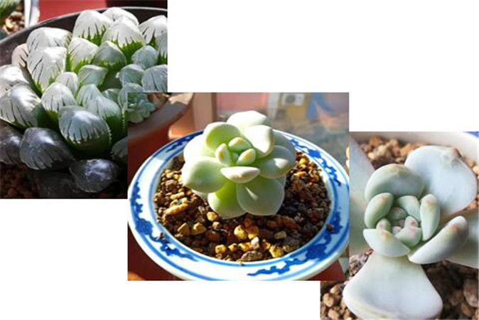 QQ图片20210304195149.jpg
