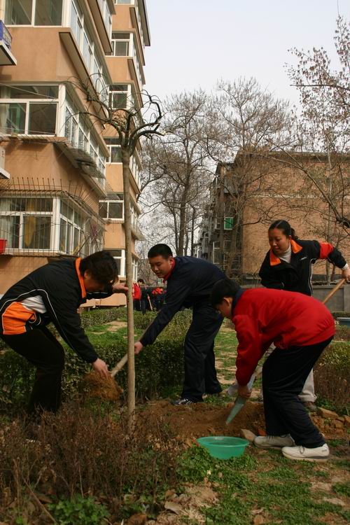 同学们正在给小树培土