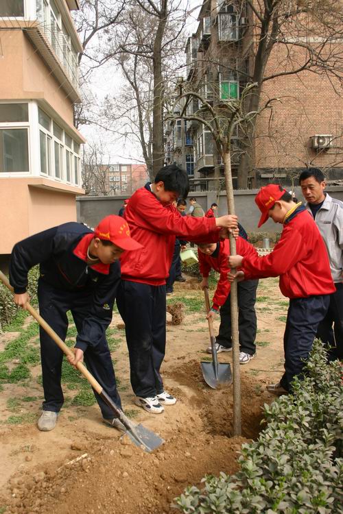 同学们正在给小树培土