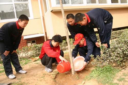 同学们正在给小树浇水