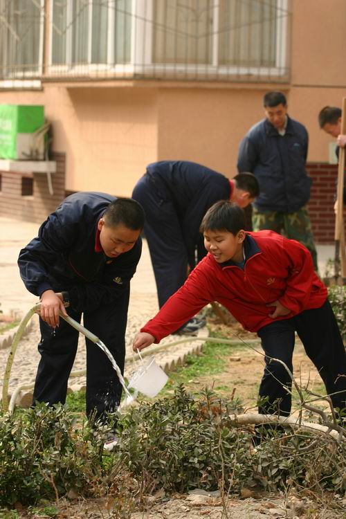 同学们正在给小树浇水