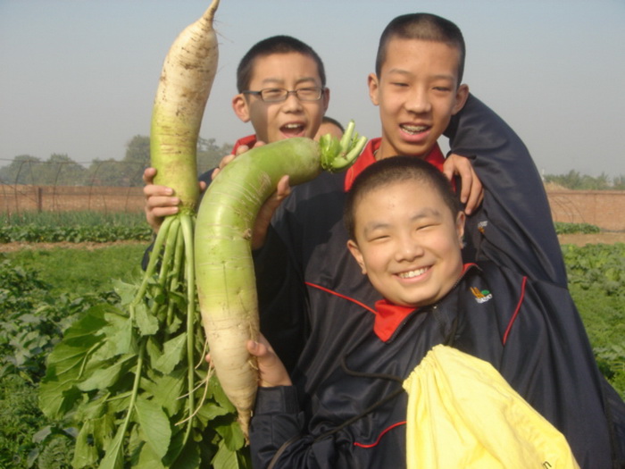 看!科技人员培养的大萝卜,全国第一!