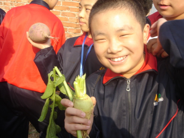 看,蔓菁还有多种颜色呢!