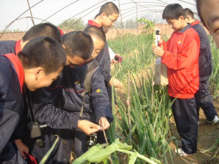 同学们看大葱的标签学习科研方法