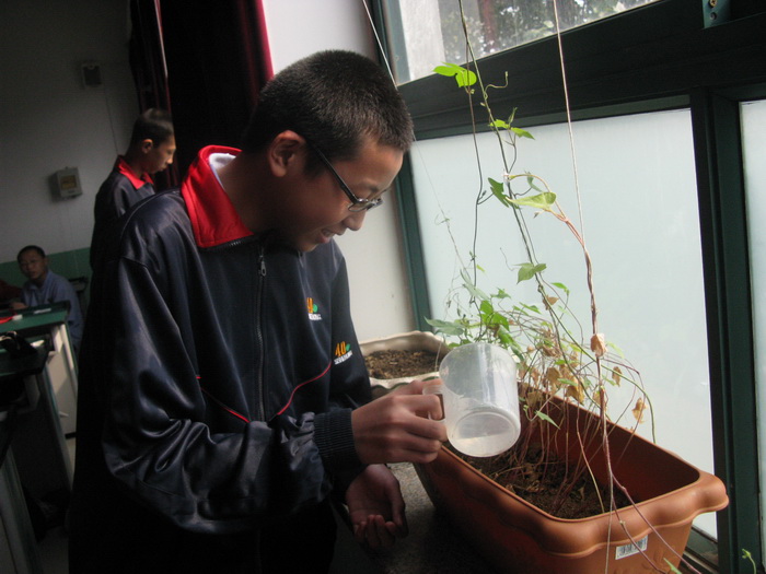 生命科学研究站成员正在细心照顾他的小生命